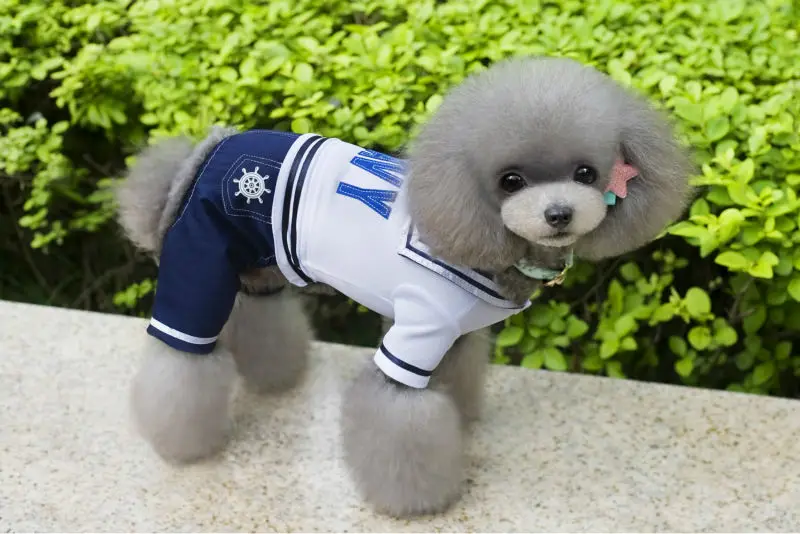 A25_Spring_Summer_Pet_four_legs_Suits_clothes_Navy_Cotton_Puppy_dog_Bib_Jumpsuits_Rompers_pants_dress_Clothes_ (10)