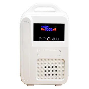 

DC12V portable car oxygen generator oxygen maker 1L/MIN oxygen concentrator 55% with car charger and home use