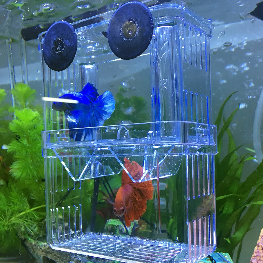 

Multi-functional Transparent Fish Breeding Isolation Box Double Guppies Incubator Breeder for Fish Tank Aquarium Accessory
