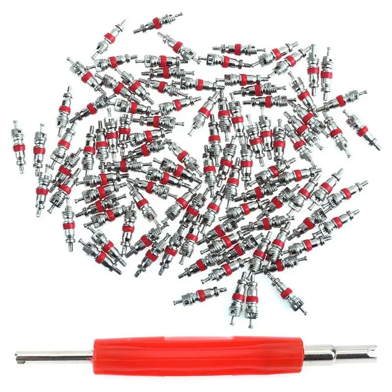 

VODOOL 100pcs Car Truck Motorcycle Tyre Tire A/C Air Conditioning Schrader Repair Automobile Valve Cores with Remover Tool Kit