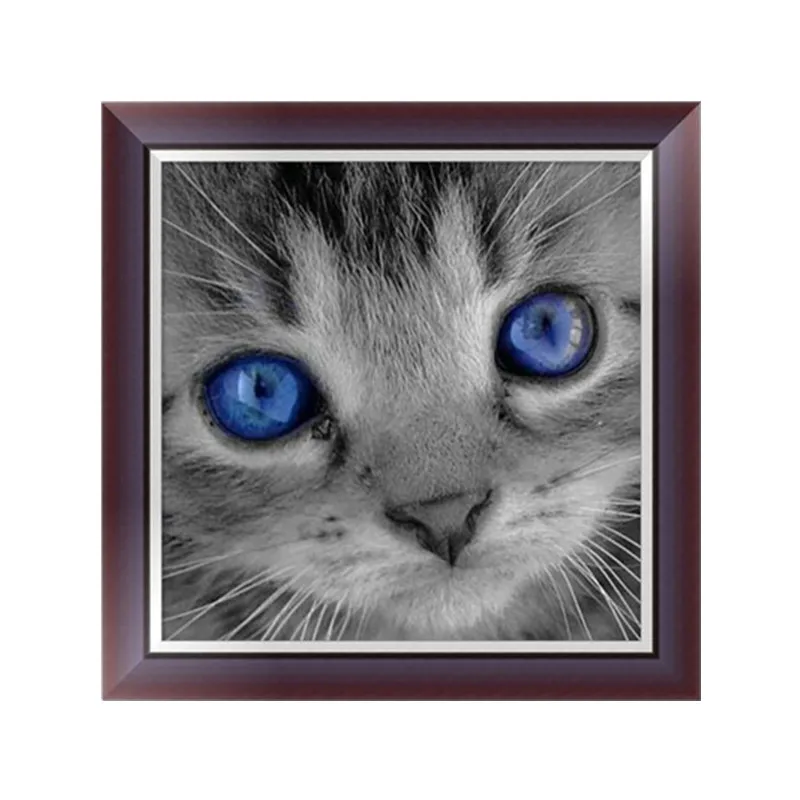 Алмазная мозаика кот аристократ. Бриллиантовый кот. Алмазная мозаика с животными. Алмазная мозайка черная кошка. Кот в отражении.