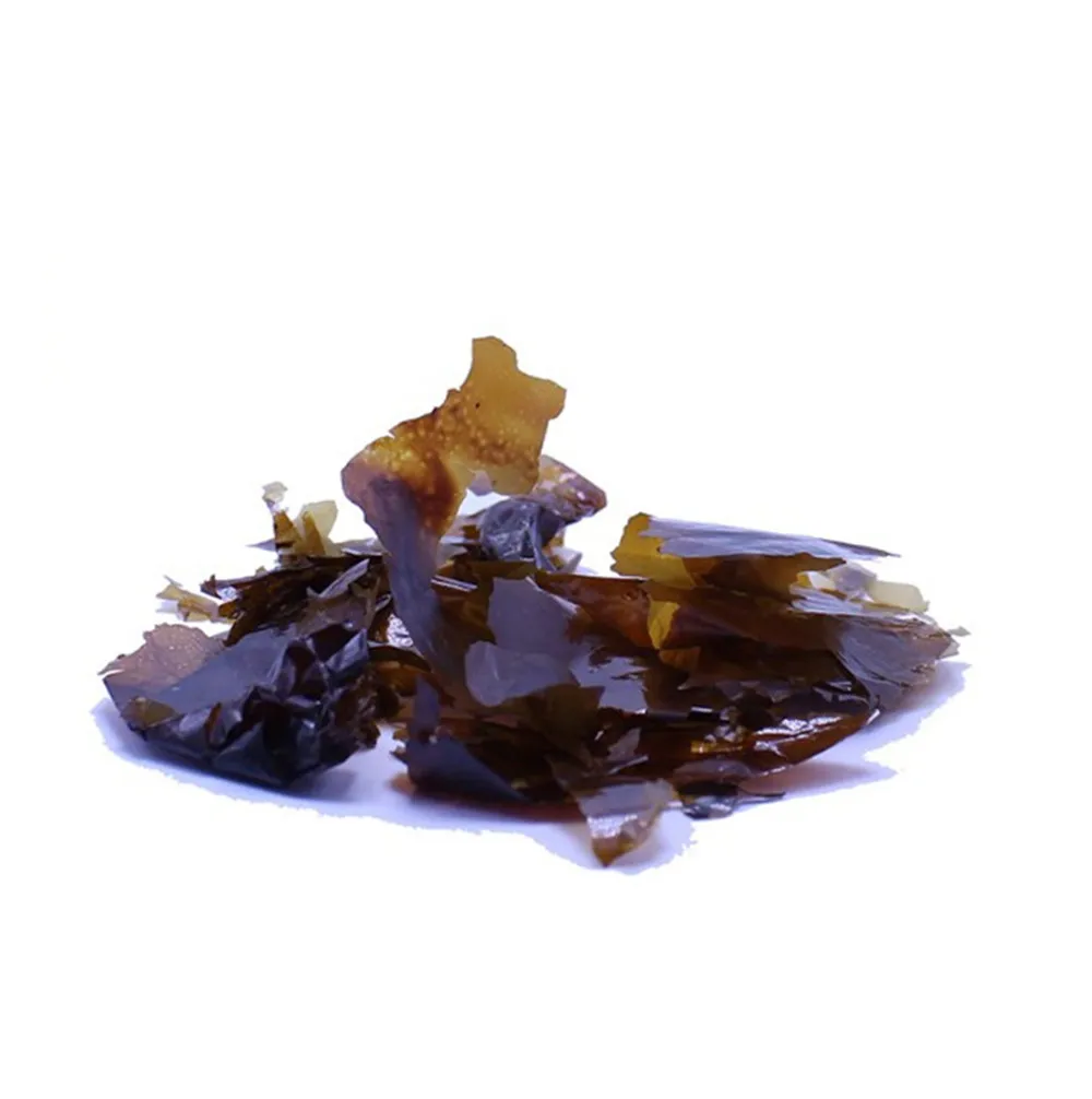 Laboratory freeze drying method preparation High quality high purity graphene oxideSingle layer graphene oxide powder