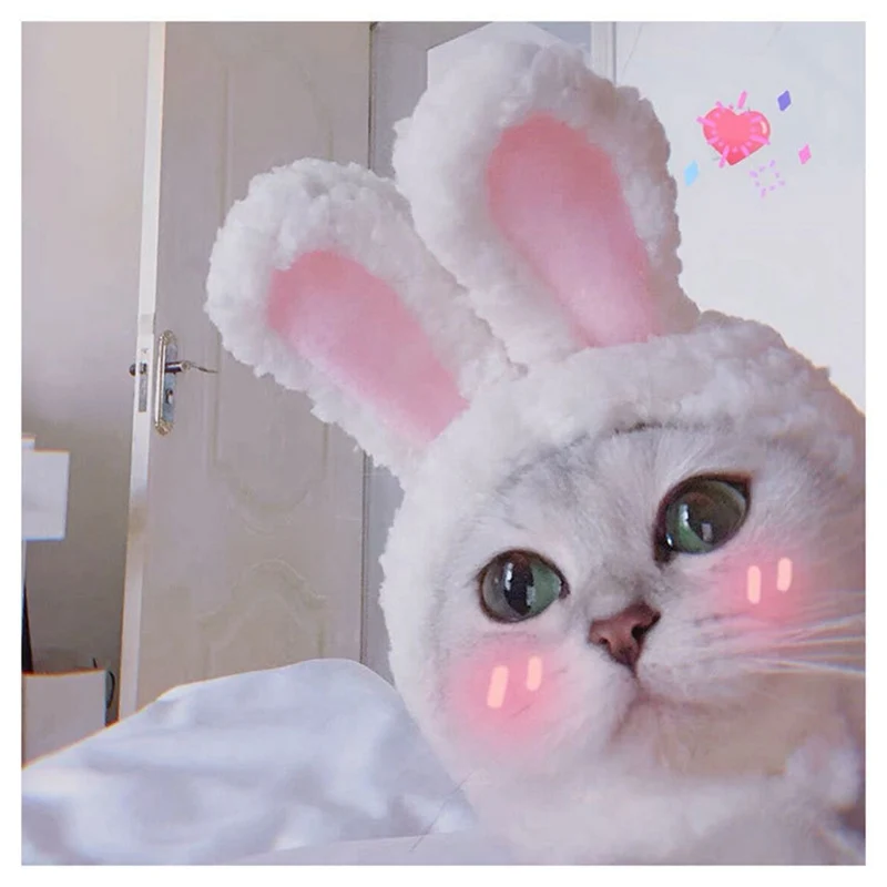 Головной убор для Кошки мультфильм шапка для собак костюмы-милый белый кролик ушной формы собака котенок повязка на голову