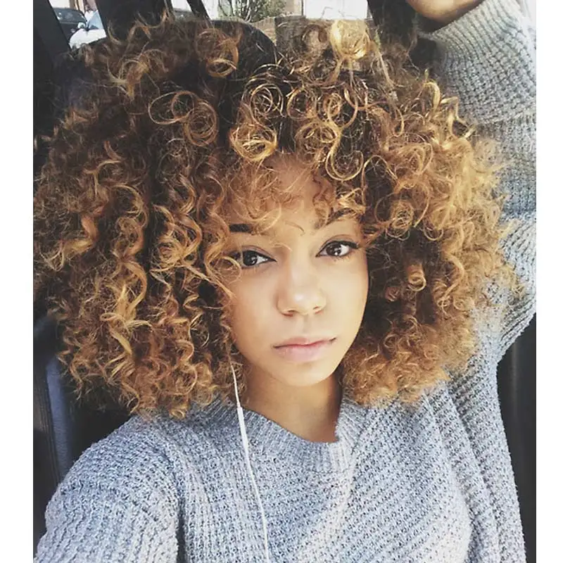 Synthetic Wigs for Black Women Kinky Curly Afro Wig 16 Short Cheep Female Wig for Women Curly Heat Resistant Synthetic Wigs