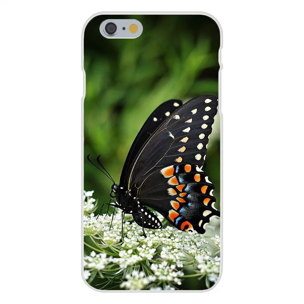 Мягкий чехол для Samsung Galaxy Note 5 8 9 S3 S4 S5 S6 S7 S8 S9 S10 mini Edge Plus Lite Mobile Butterfly Beauty|Бамперы| |