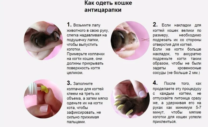 instruction