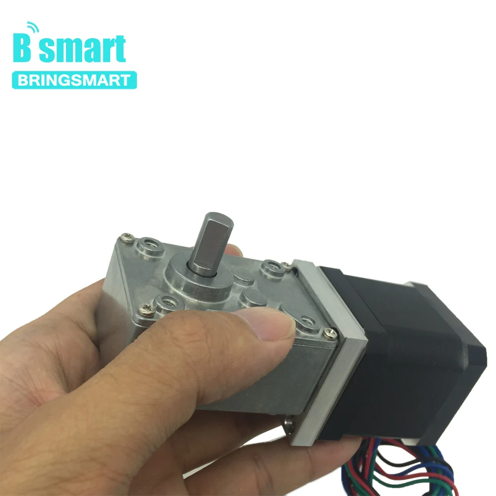 Электродвигатель червячного редуктора Bringsmart 12 В Электродвигатели постоянного