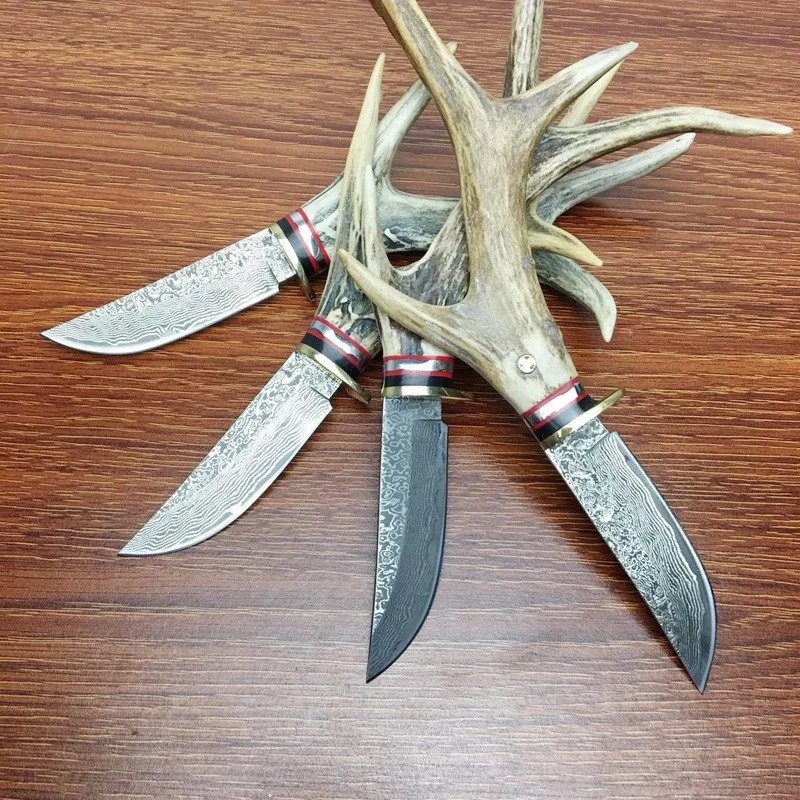 3111377472_742635196