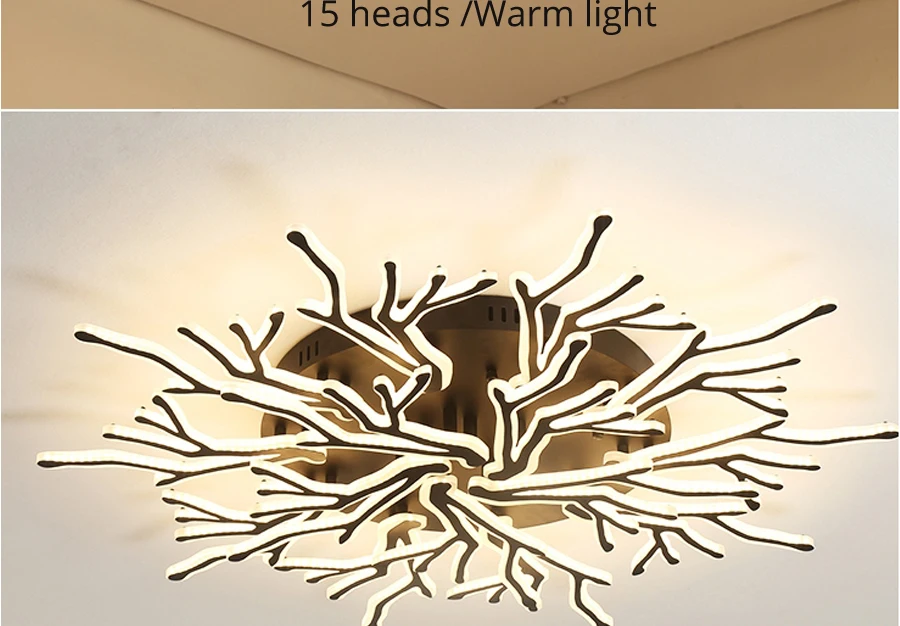 2018-led-_10