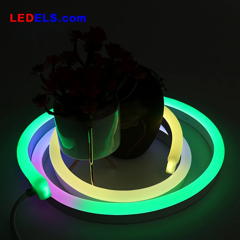 cheap 24V 12V Silicone IP68 digital pixel light strip addressable dmx led neon flex neon led strips RGB 60leds M