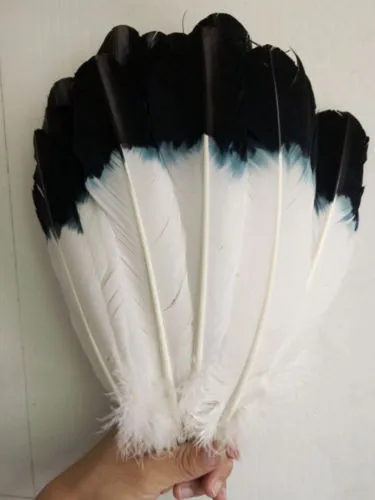 Новинка! 50 шт./лот! 10-12 дюймов 25-30 см в длину, окрашенное крыло индейки перо черный наконечник имитация орла перья для костюм танцовщицы