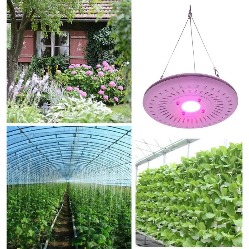 COB LED Grow Light 50 Вт полный спектр комнатных растений цветы растущая