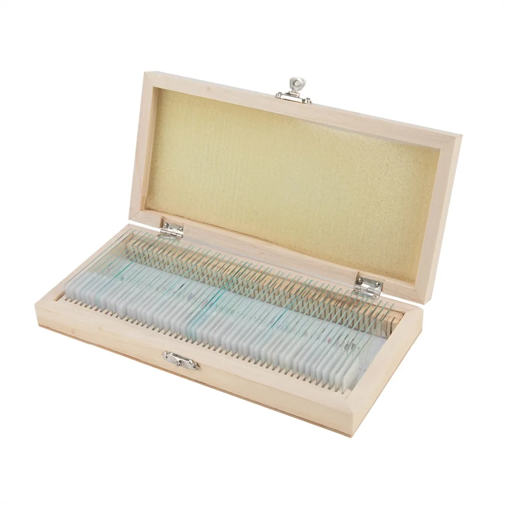 

Student Glass Slide Biological Class Plants Slides Animal Slides Security Biological Laboratory 50PCS Wooden Box Convenient