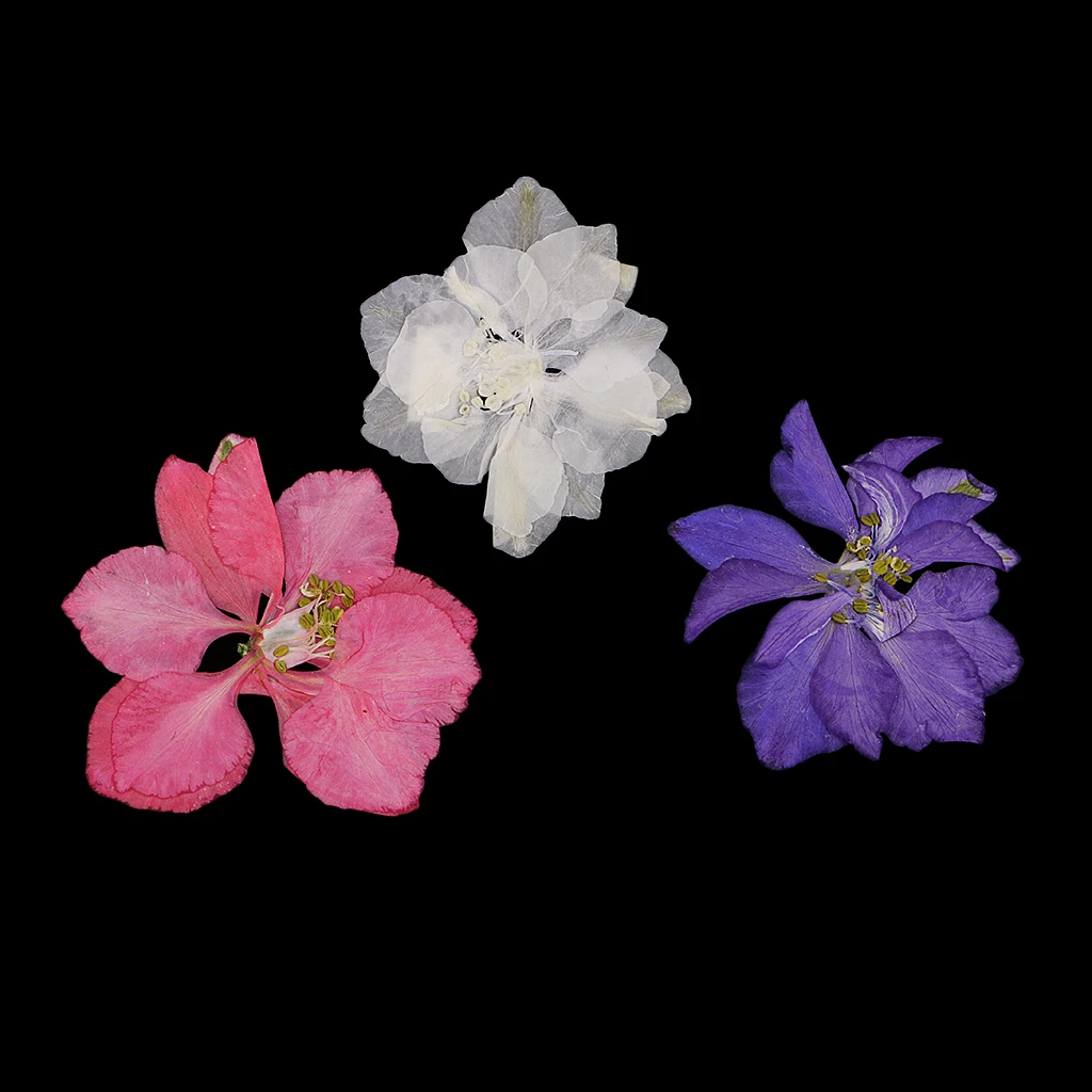 20 Pieces Pressed Flowers Real Delphinium Dried Flowers for Jewelry Making Crafts Candle Making DIY Resin Ornament Artificial
