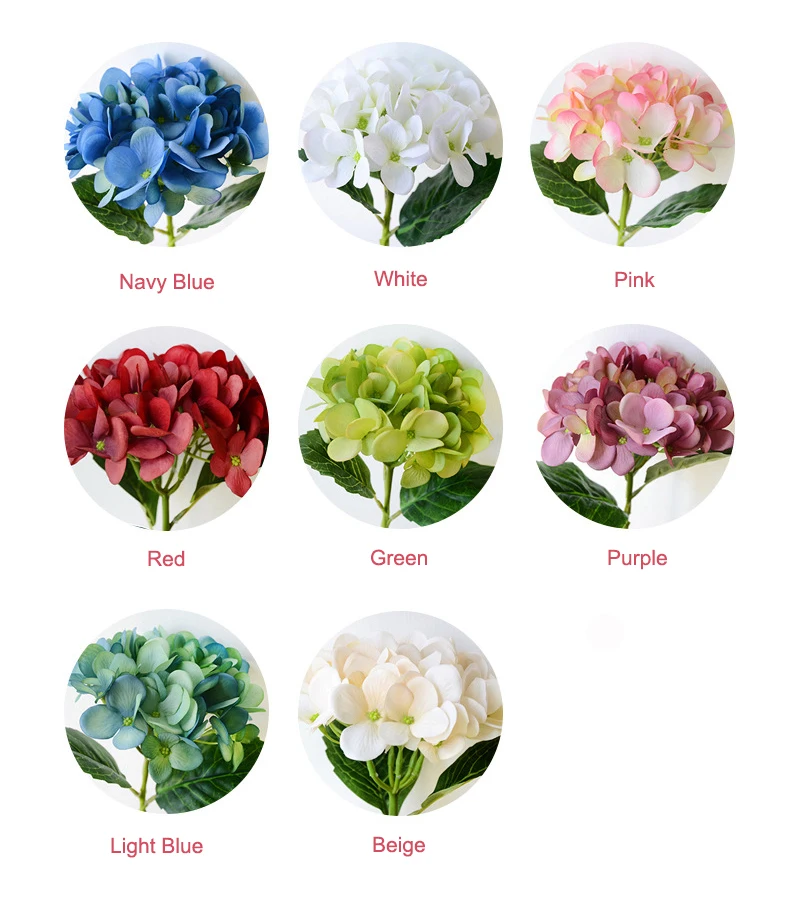 F6_colors