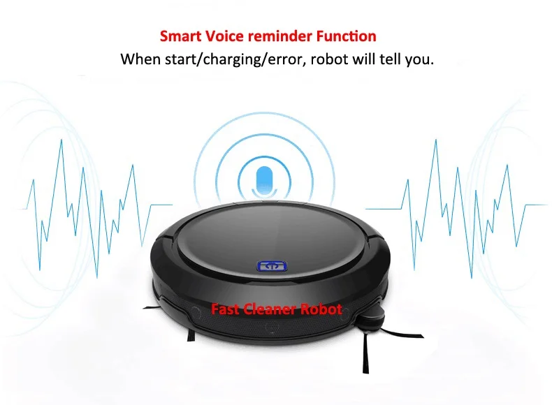 voice