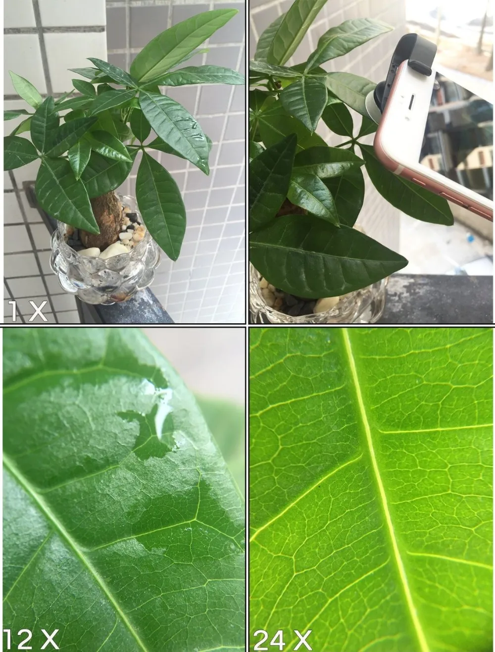 91PAcFKT7BL._SL1500_