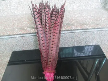 

Wholesale 500 / lot beautiful pink pheasant feathers 18-20 inches / 45-50 cm free shipping