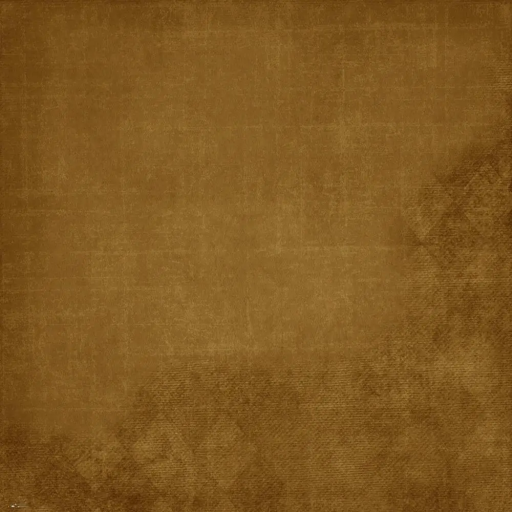 

10X10FT Vintage theme Vinyl  Photography Backdrop Prop Photo Studio Backgrounds NVG79
