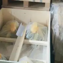 A4VSO250EO2/30R-PPB13N00 насос rexroth R910996123 в A4VSO 250 EO2/30R-PPB13N00