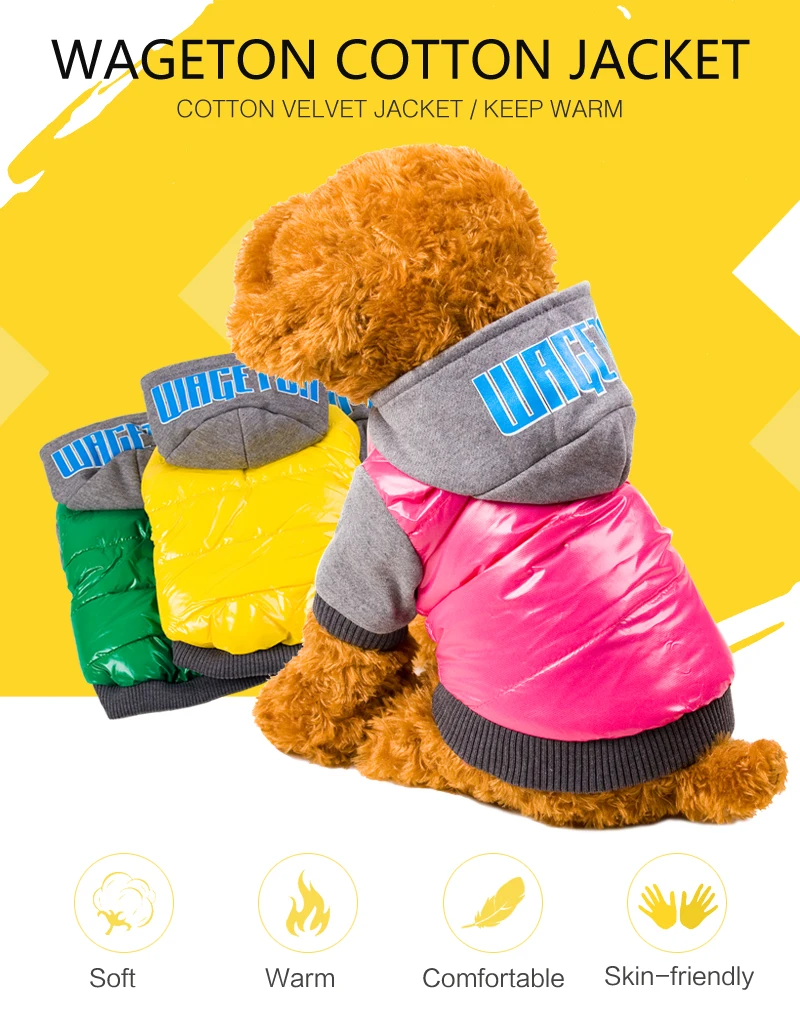 1 pet clothes 