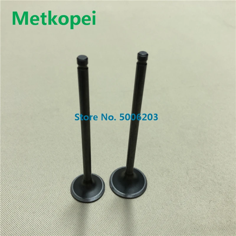 EN125 engine valve with guide (6)