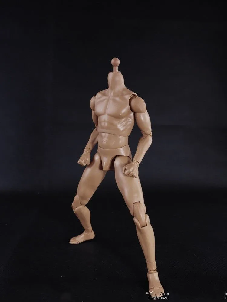 12 inch action figure body