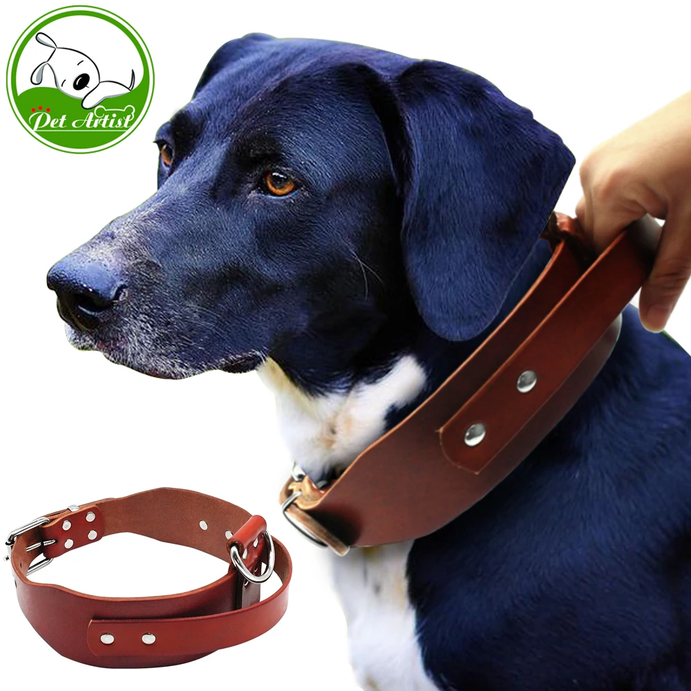 heavy duty dog collars for pitbull