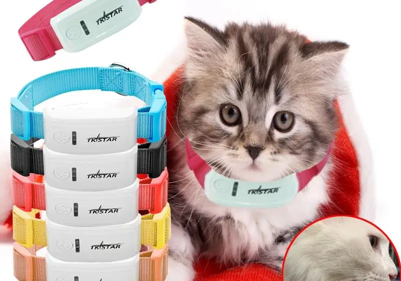 Hond GPS locator mini gps tracker anti verloren kat kraag dier gepositioneerd remote monitoring