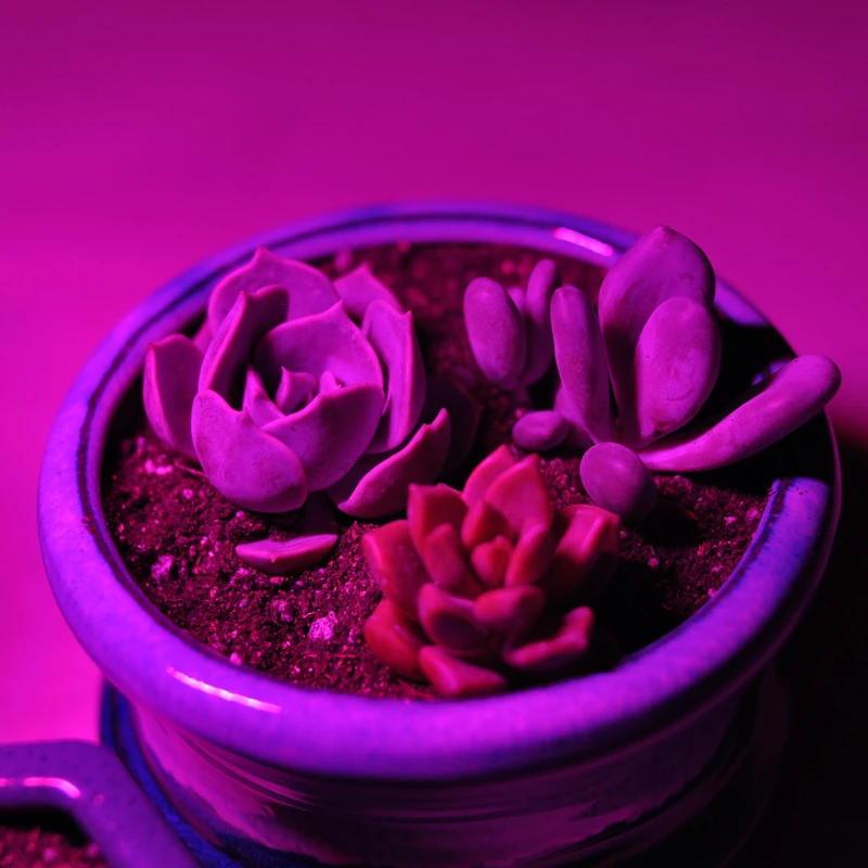 High Power Plant lamp USB 5v Red and blue LED Greenhouse Plants Hydroponics Flower Panel 4.8W with support hose usb metal tube