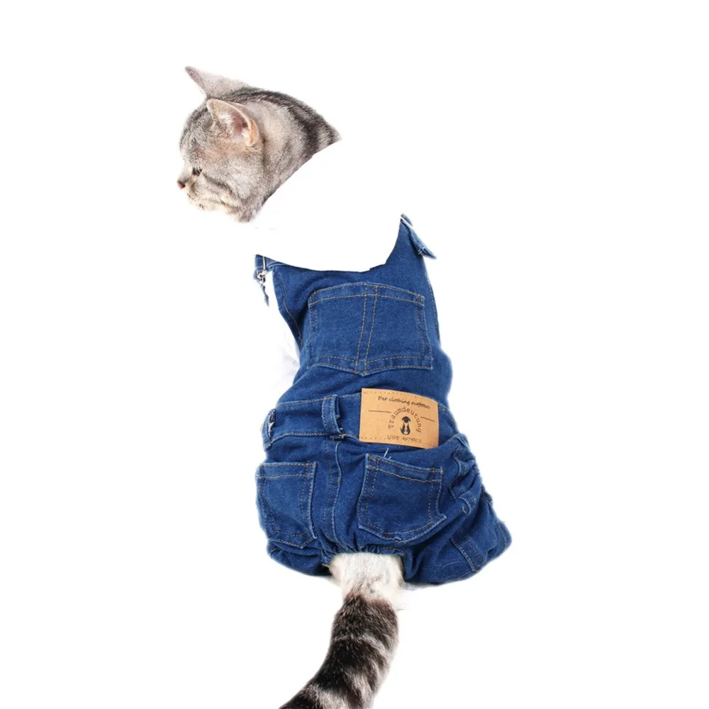 

Small Cats Clothes Costume Kitten Clothes outfit For Pet Clothes Dog Cats Clothing katten kleding katten animaux de compagnie