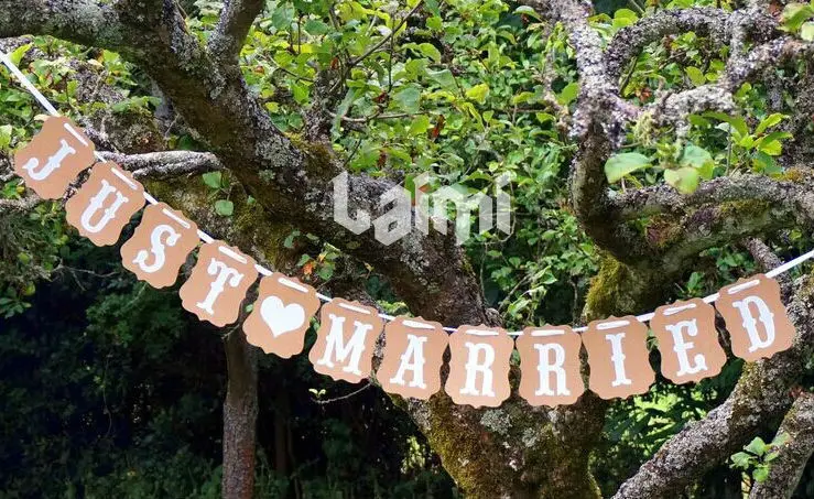 

Hot Lovely Vintage Wedding Party Photo Just Married Banner Garlands Decorations