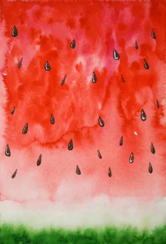 

Laeacco Marble Watermelon Surface Seed Gradient Color Party Baby Portrait Photo Backdrop Photography Background For Photo studio