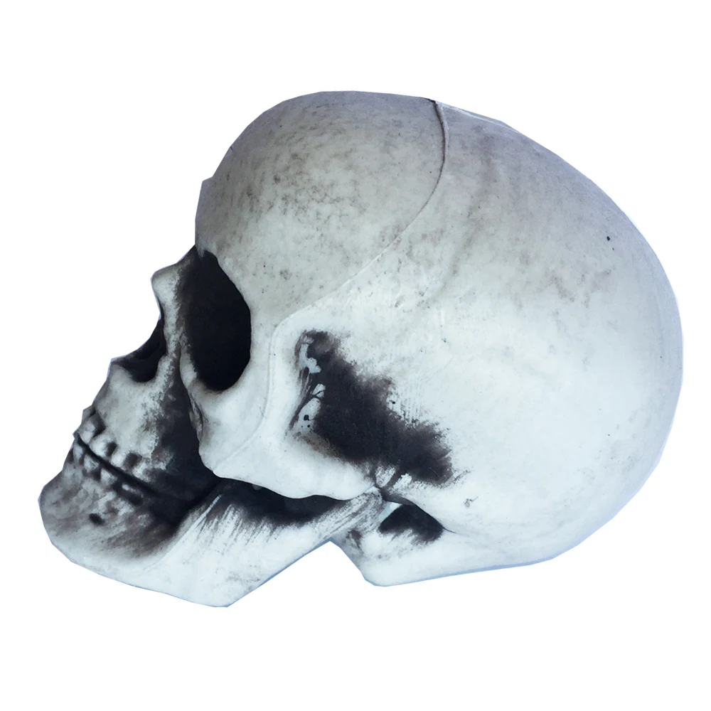 small Skull 3