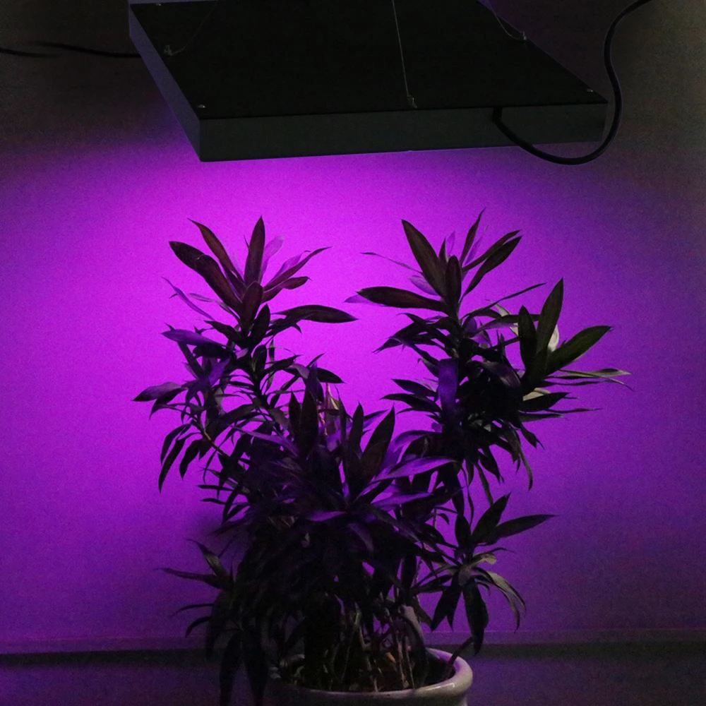 20 Вт~ 1600 Вт полный спектр светодиодный светильник для выращивания растений лампы для цветочных растений Veg Гидропоника система для выращивания/цветения возможна Прямая поставка