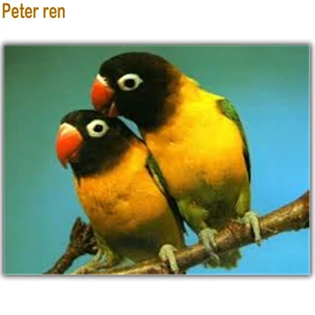 

Peter ren Diamond painting Cross stitch Hobby crafts Round/Square Diamond mosaic Full Embroidery with diamonds "masked lovebird"