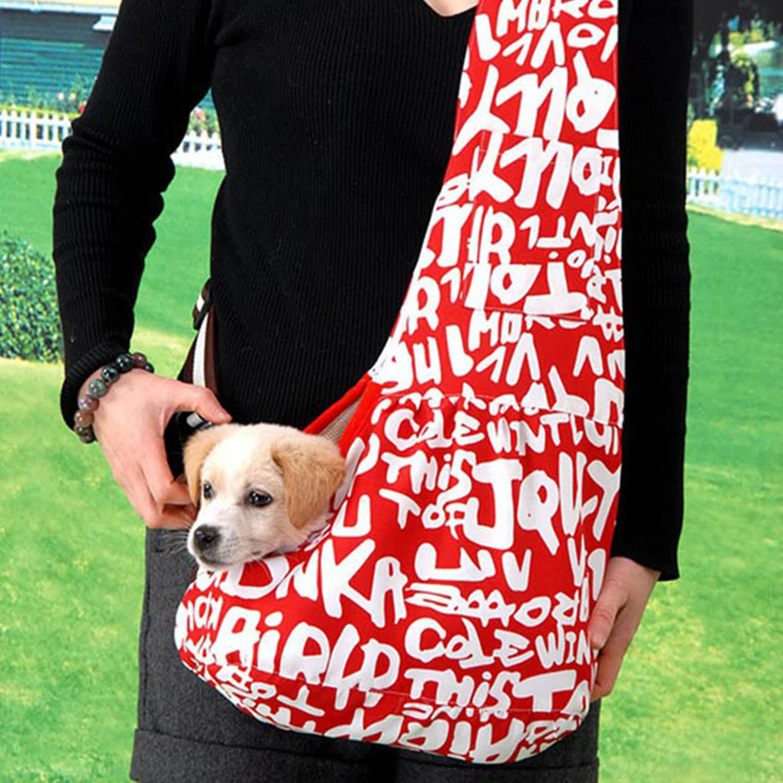 Dating para perros