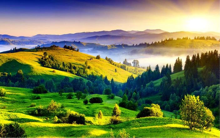 Guzel 3d Sunshine Lake Sehpa Greenwood Duvar Kagitlari Ev Dekor Tasarimcilari 3d Manzara Duvar Kagidi Landscape Wallpaper 3d Landscape Wallpaperdesigner Wallpaper Aliexpress