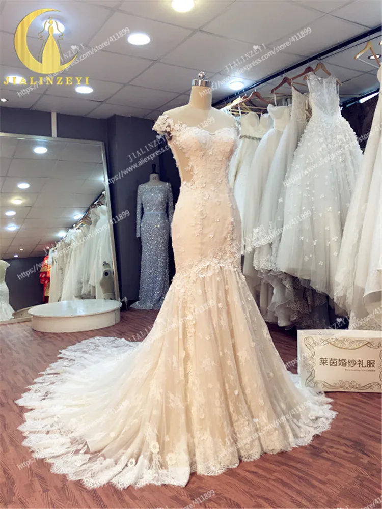 LY260 (6)