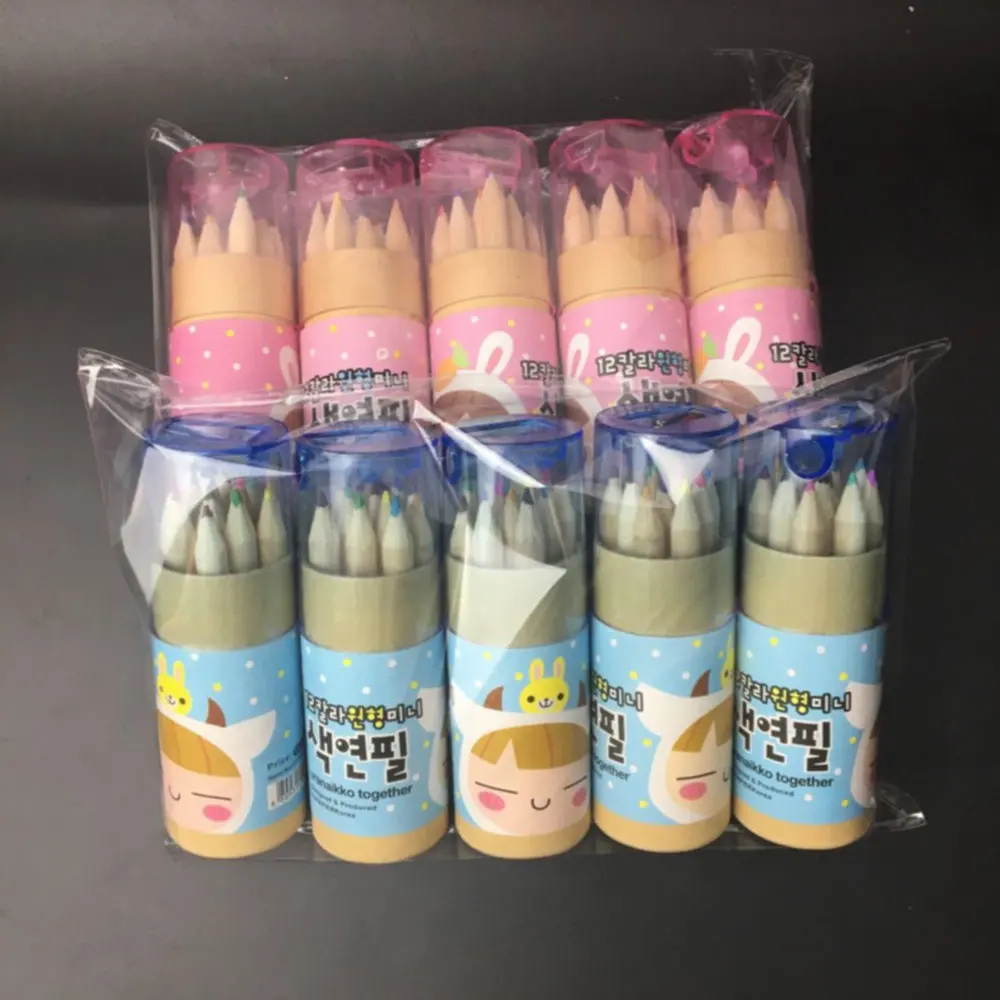 

10 Box (120pcs )MIni Stationary Artist Drawing Painting Sketching Writing Drawing Pencil Box Case