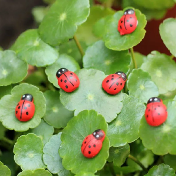 

50Pieces/Pack Mini Resin Ladybug Garden Pots Miniature Succulent Plants Decoration Fairy Garden Figurines Micro Landscape Crafts