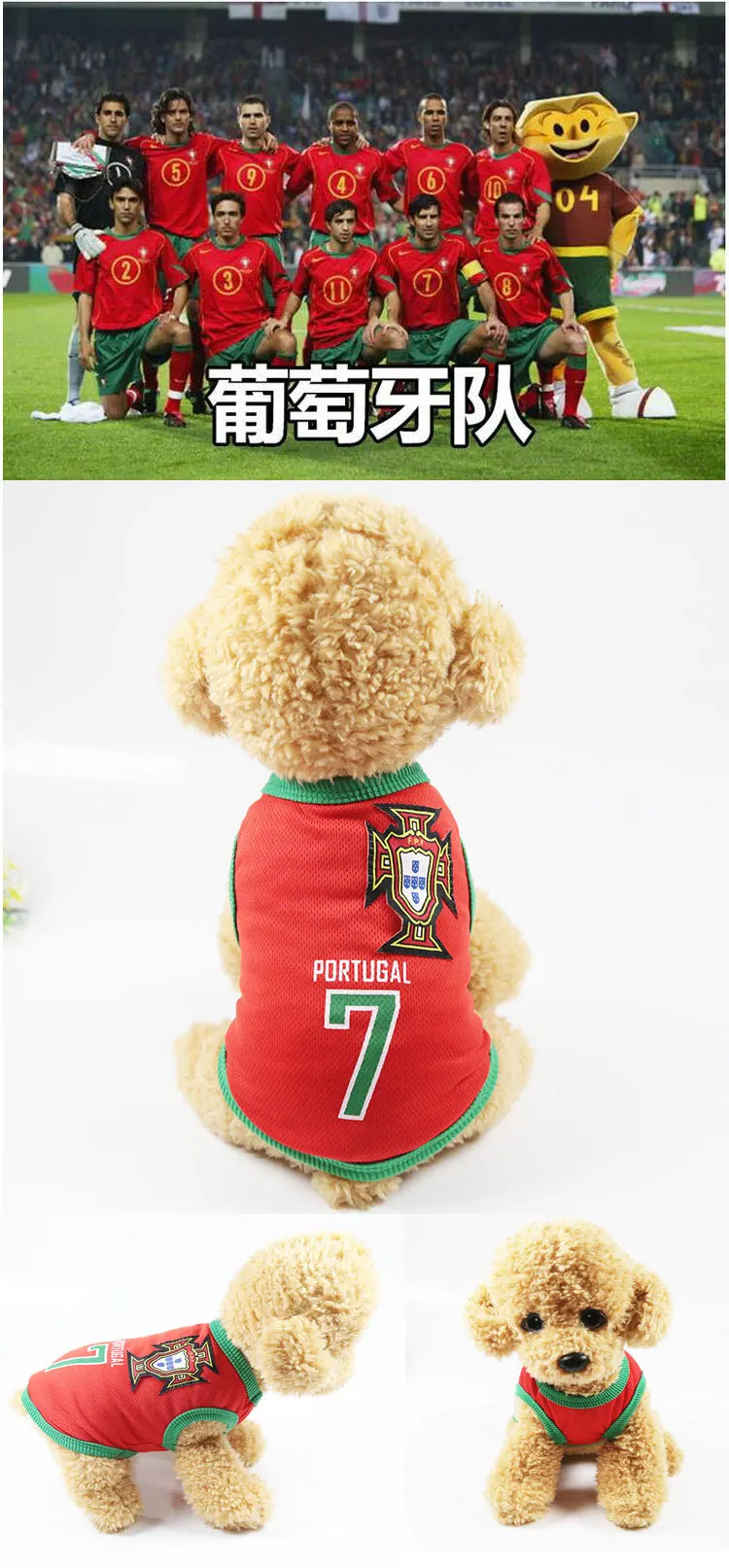 8565310352_1119372358