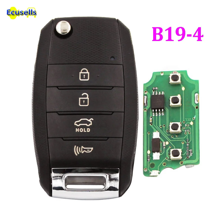 B19-4 (01)