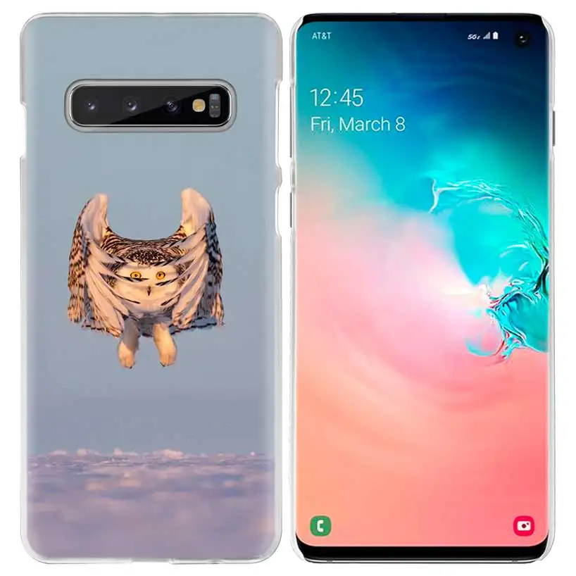 Камуфляжный чехол сова для samsung Galaxy S10 5G S10e S9 S8 M30 M20 M10 J4 J6 плюс J8 Note 8 9 прозрачный жесткий чехол из пк для телефона Coque - Цвет: 08