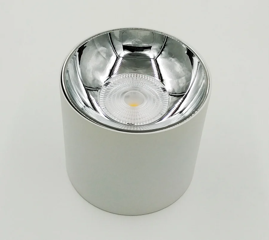 Светодиодный потолочный светильник для гостиной 12 Вт светодиодный потолочный светильник крепление светодиодный точечный свет лампочки с алюминиевым радиатором современные светильники спальни - Цвет корпуса: White Silvery