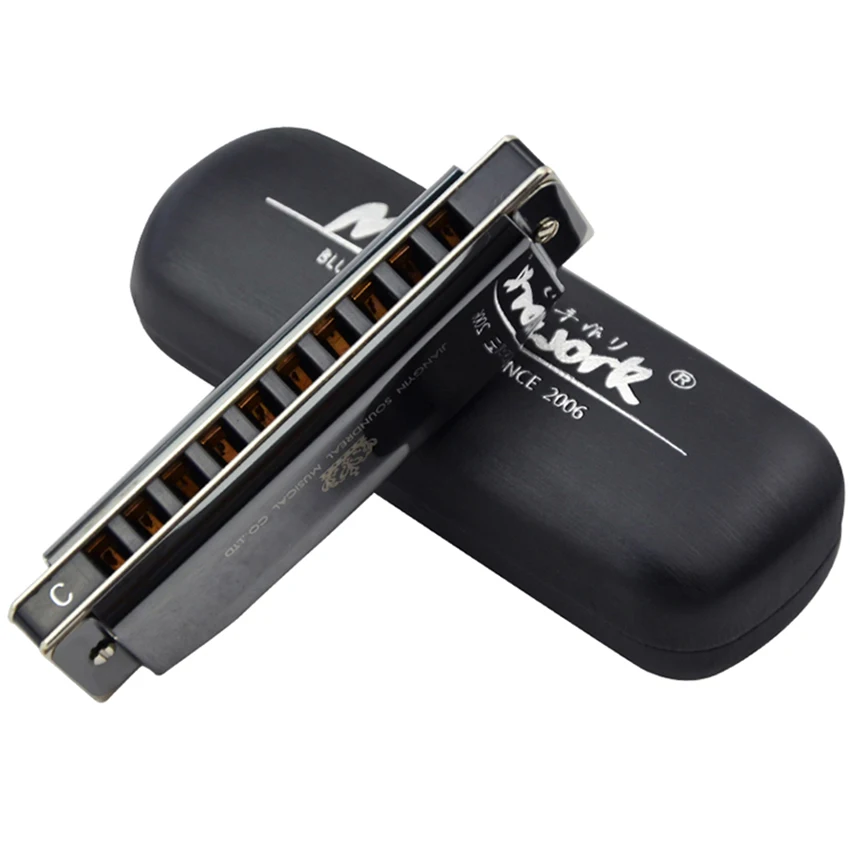 Instrumento de Vento Presentes para Crianças Gaita Diatônica Buracos Harpa Blues Preto Profissional Boca Órgão c Chave Adultos Jdr 10 - Image 4