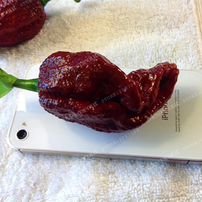 

100PCS The Devil Pepper Bonsai Hottest Chili In The World 100% Fresh Bonsai Vegetables Garden Plant Home Free Shipping