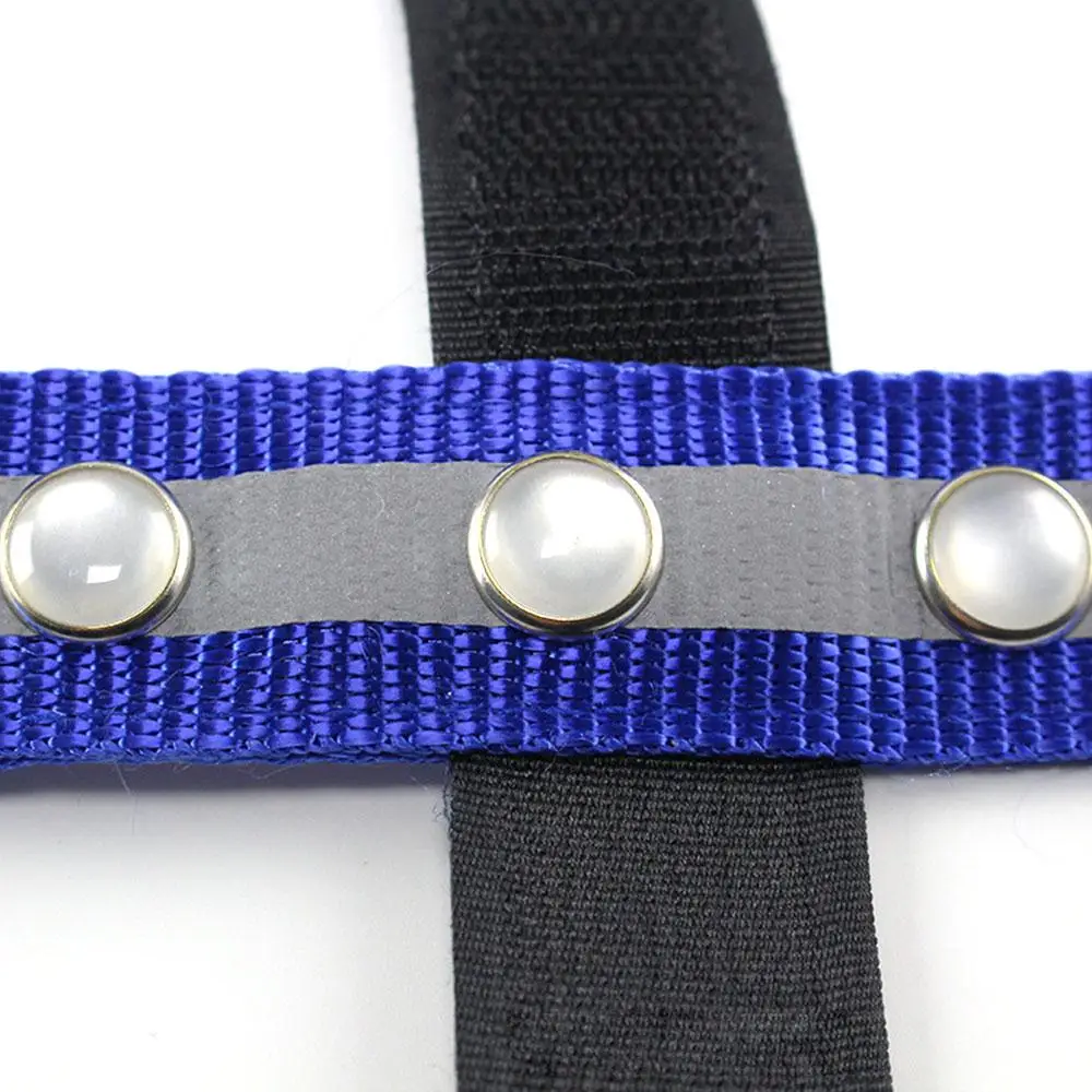 LED Horse Head Straps Night Visible Paardensport Equitation Blue Horse Head Straps Durable Portable Outdoor