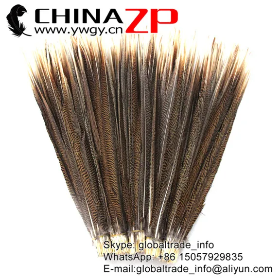 

CHINAZP Wholesale Decorative Feathers Hand Selected Prime Quality 20 to 22 inch Natural Golden Pheasant Center Tail Feather