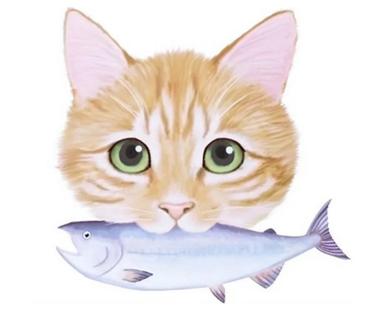 Cat Fish Makeup Organizers 01